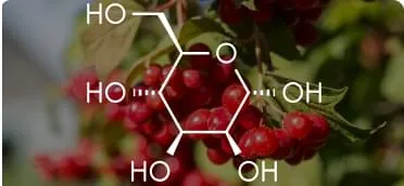 D-Mannosio ingrediente Cystinorm