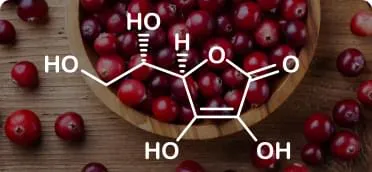 Estratto di mirtillo rosso ingrediente Cystinorm